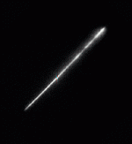 A Perseid Meteor in 1995.
Credit: Northeast Florida 
Astronomical Society
