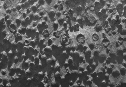 Mystery Spheres on Mars (splash)