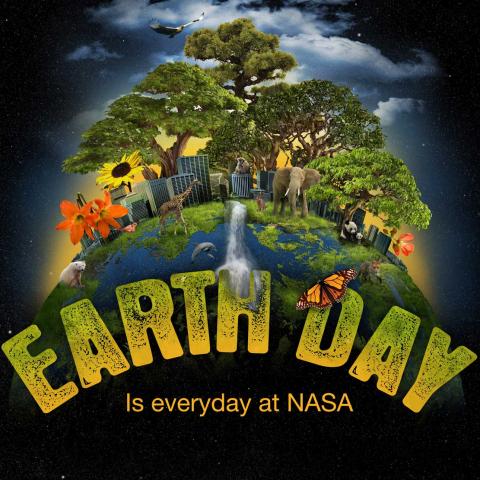Illustration earth with wild animals, trees, flowers and sun turning to night sky