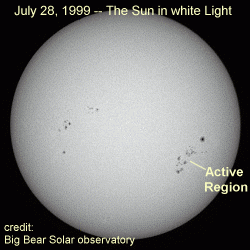 white light image from Big Bear Solar Observatory